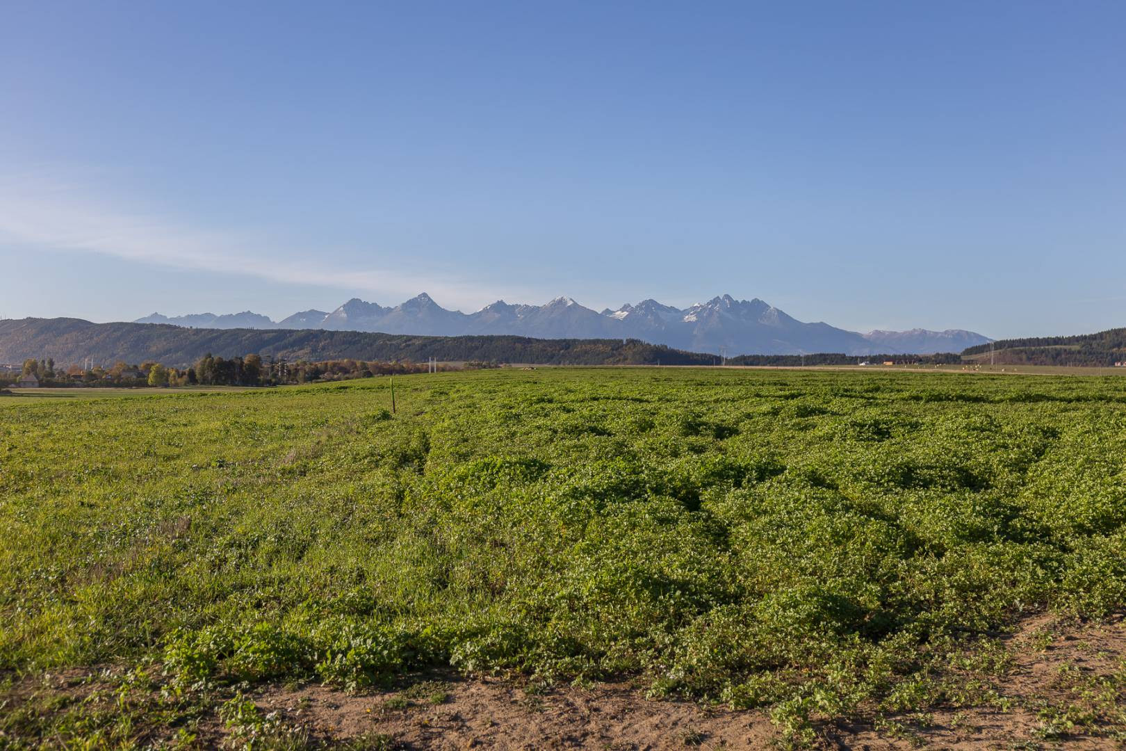 Investičný pozemok (2700 m2) Hrabušice