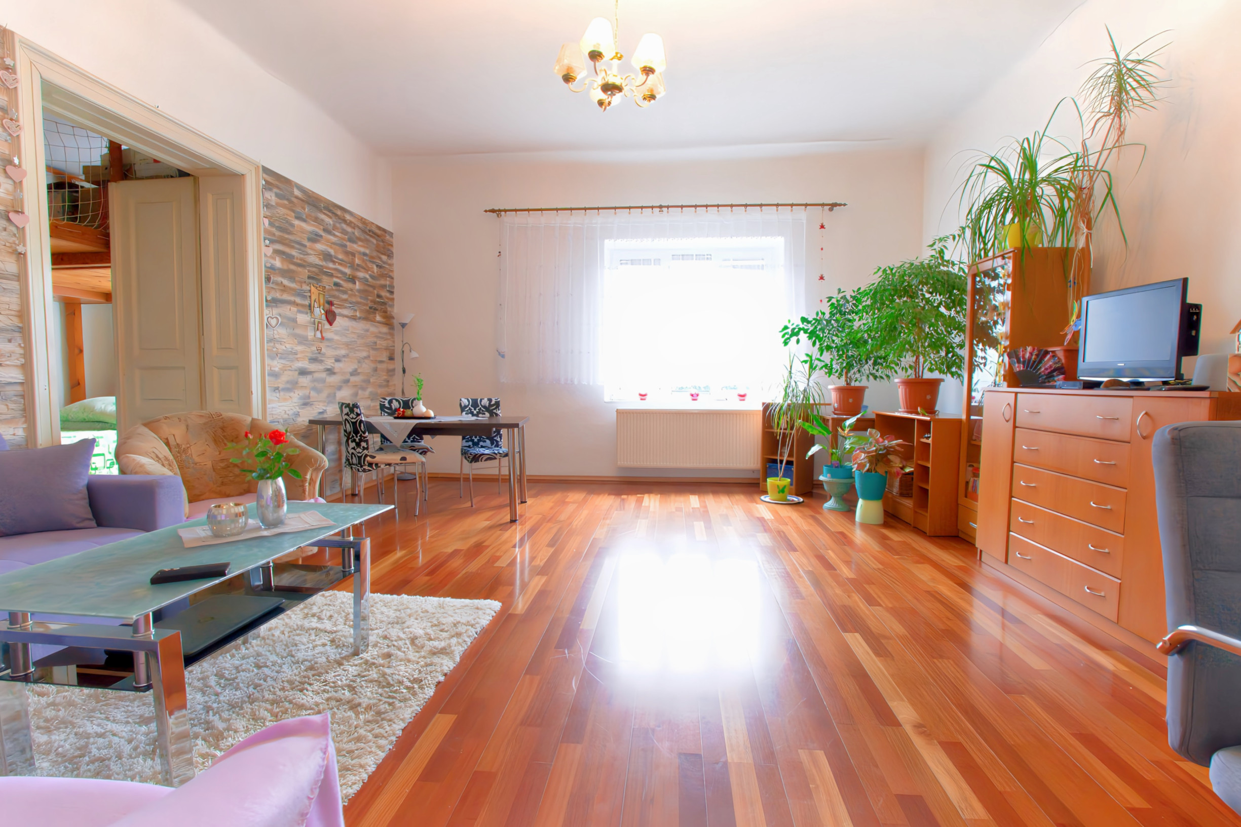 Tehlový byt 3+1 s garážou (125 m2) Sp. Nová Ves