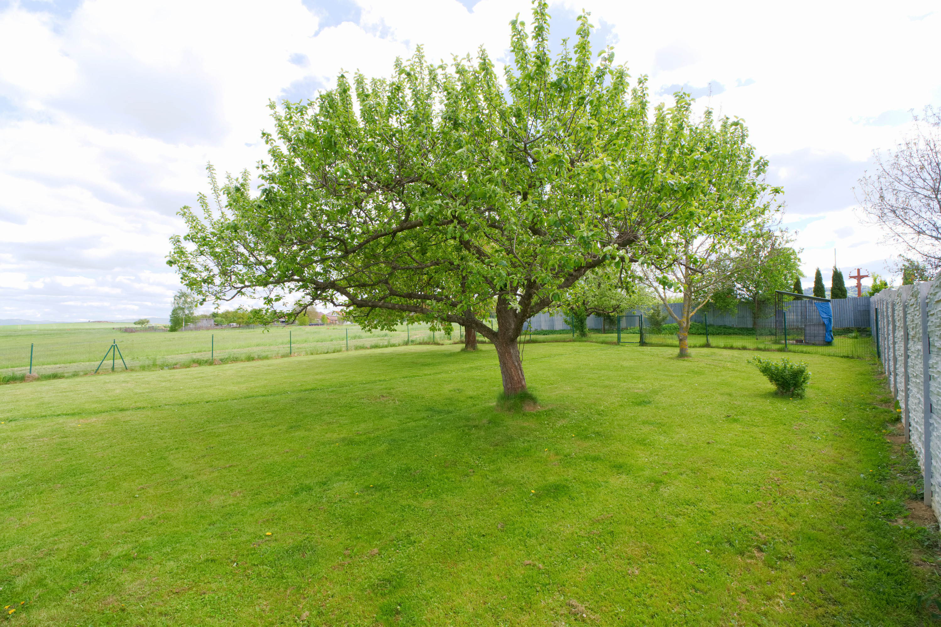 Záhrada (750 m2) Spišské Tomášovce Slovenský raj