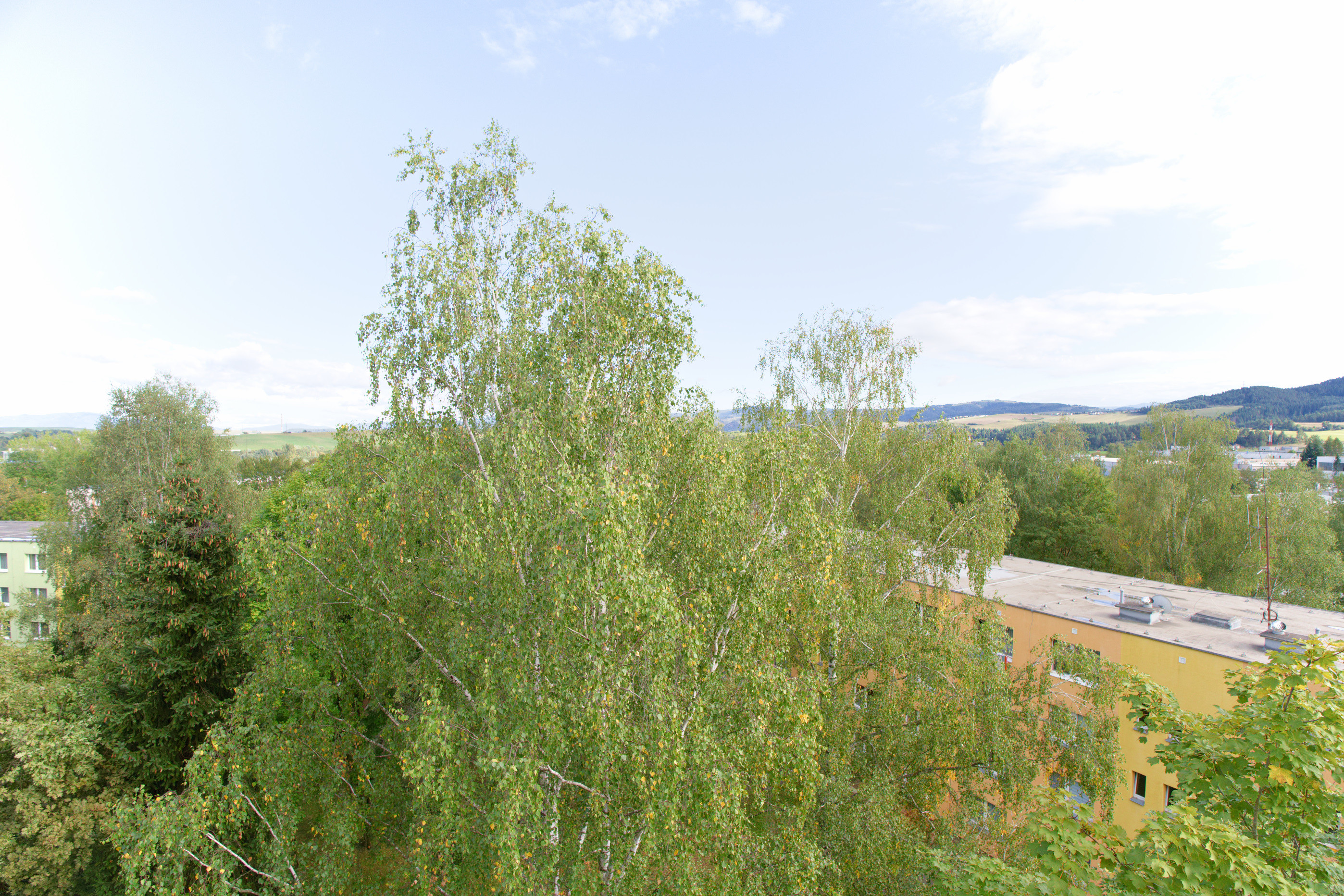 Byt 3+1 (72 m2) s loggiou, ul. Javorová sídl. Tarča SNV