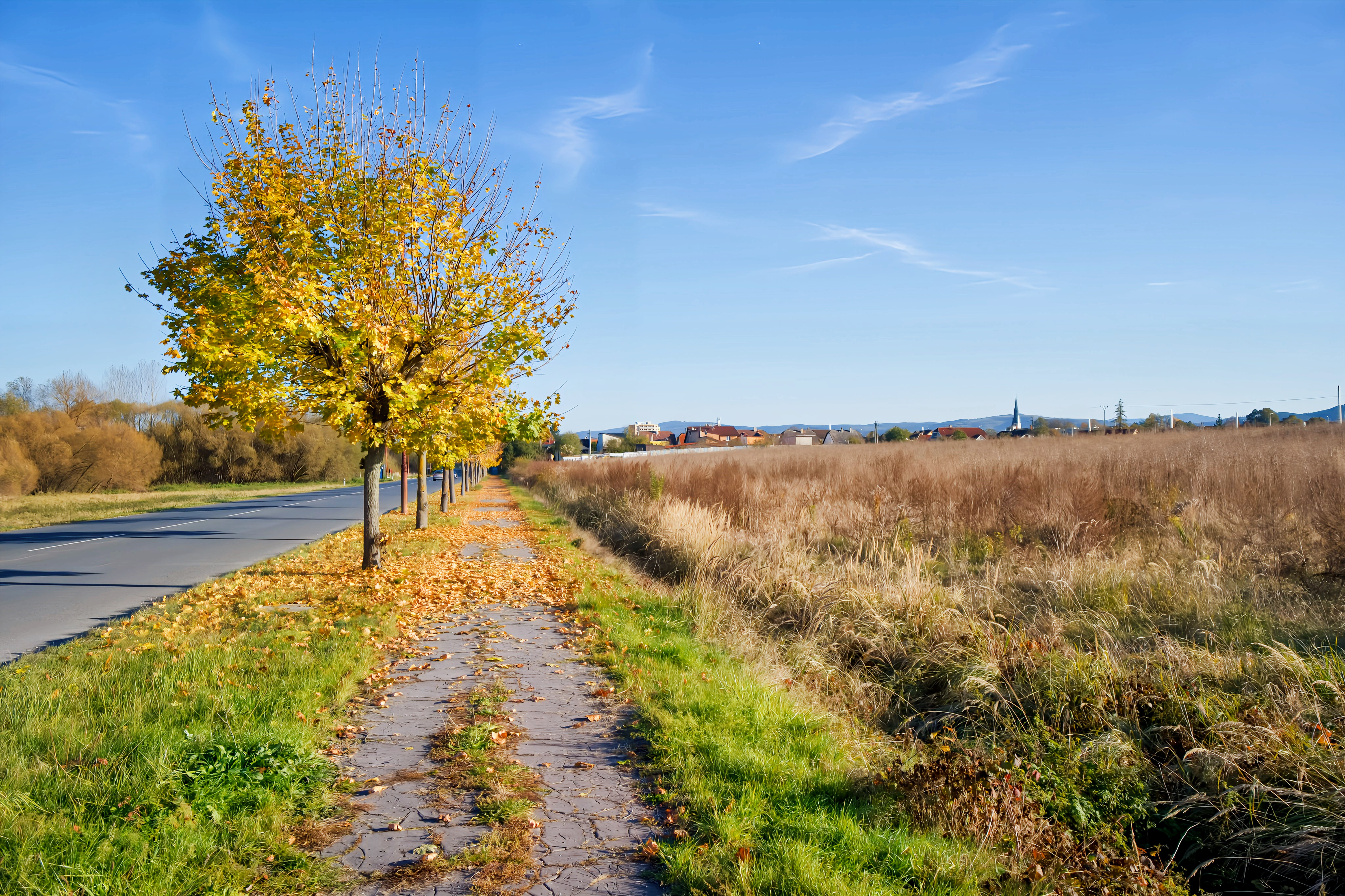Prenájom! Pozemok (4000 m2) Spišská Nová Ves