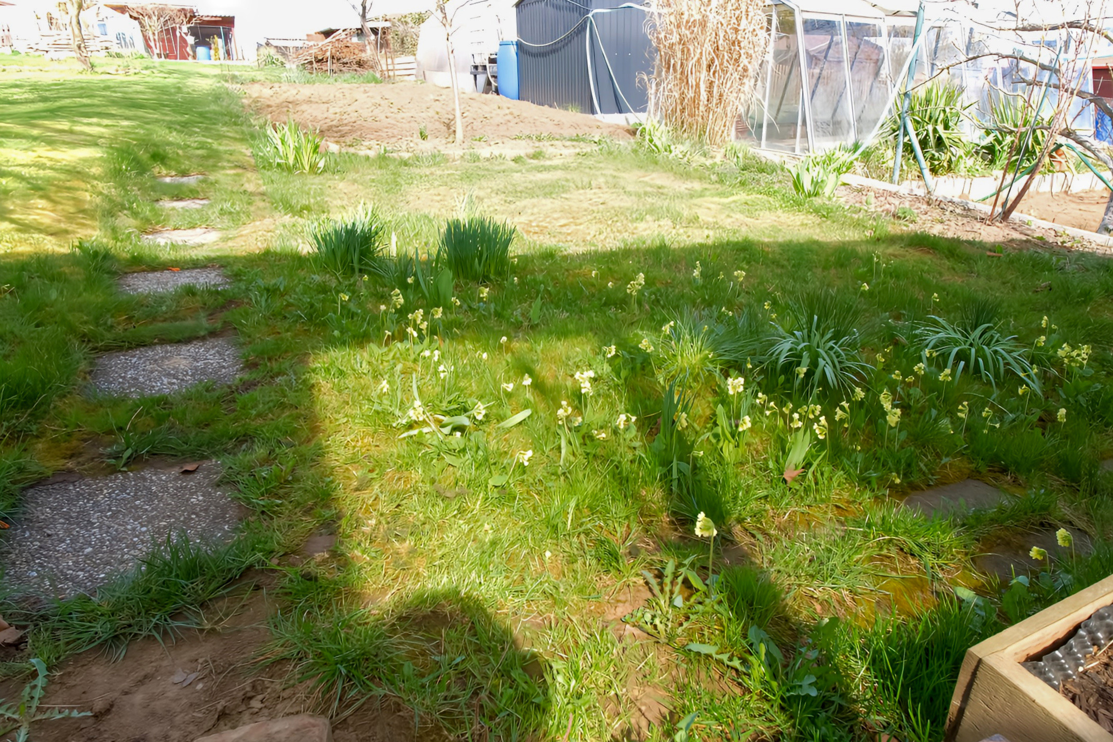 Záhrada s chatkou ( 282 m2) sídl. Mier Spišská Nová Ves