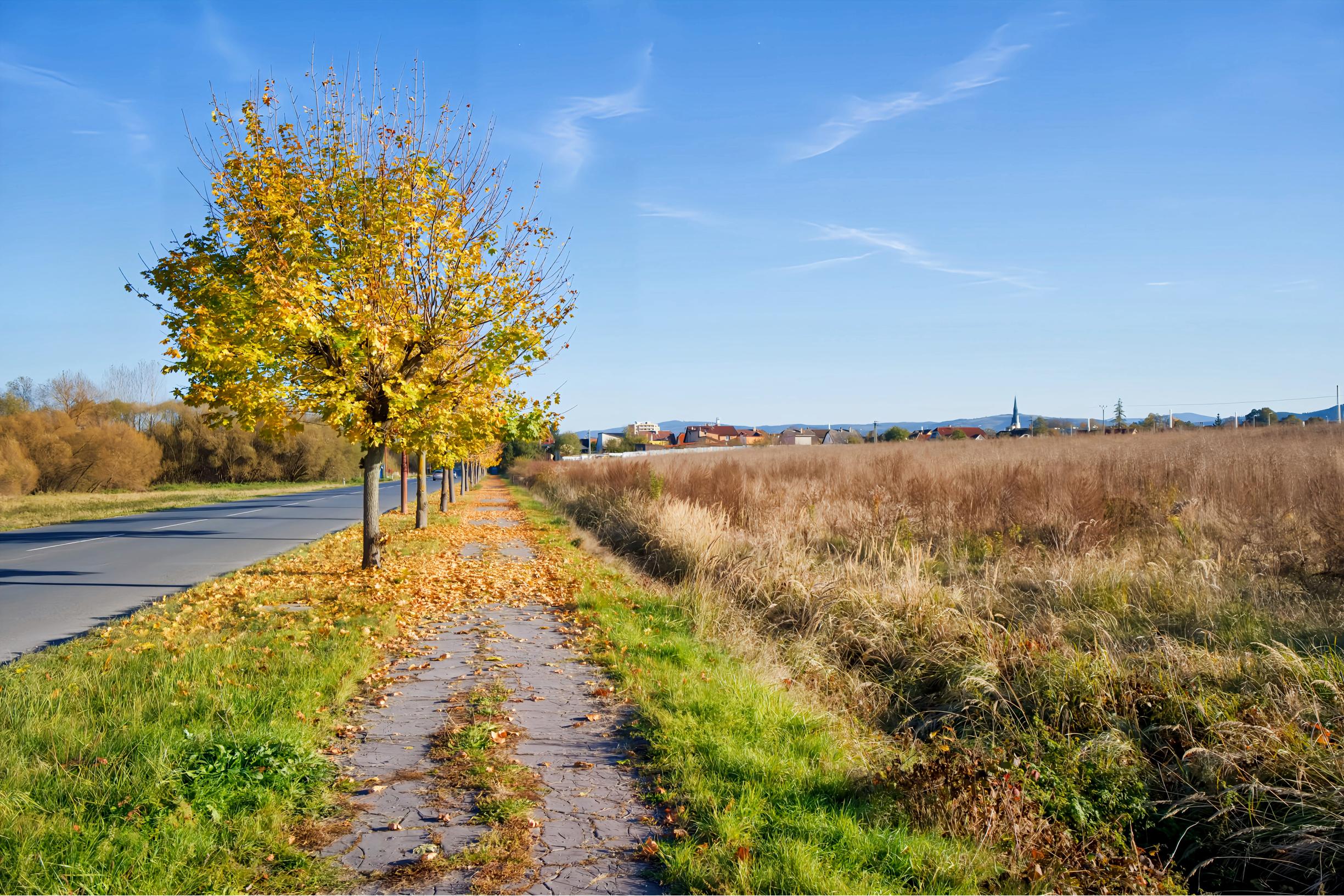 Prenájom! Pozemok (4000 m2) Spišská Nová Ves
