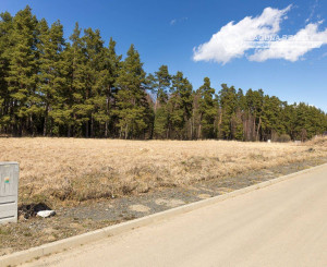 Pozemok pri lese (1441 m2), Veľká Lomnica