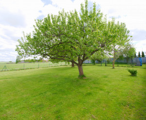 Záhrada (750 m2) Spišské Tomášovce Slovenský raj