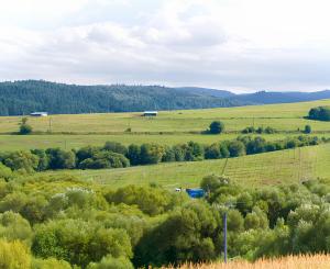 UŽ LEN ŠTYRI záhradky (300 m2) ZO Hlinica Spišská Nová Ves