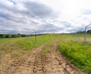 UŽ LEN ŠTYRI záhradky (300 m2) ZO Hlinica Spišská Nová Ves