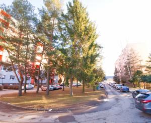 Byt 3+1 (71 m2) s loggiou, ul. Dubová Sp. Nová Ves