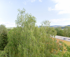 Byt 3+1 (72 m2) s loggiou, ul. Javorová sídl. Tarča SNV