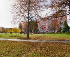 Kompletne rekonštruovaný byt 1+1 sídl. Tarča SNV