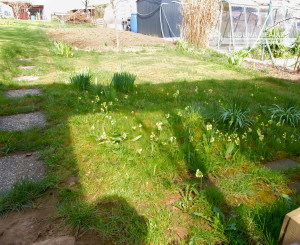 Záhrada s chatkou ( 282 m2) sídl. Mier Spišská Nová Ves