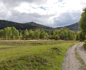 Pozemok v chalupárskej oblasti (1855 m2) Tretí Hámor