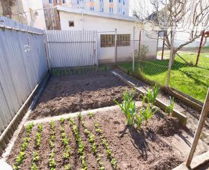Byt 3+1 (109 m²) s 2 balkónmi, garážou a záhradou, centrum SNV