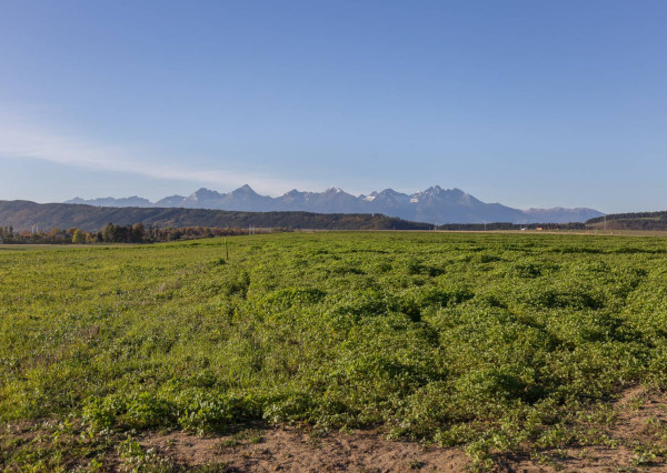 Investičný pozemok (2700 m2) Hrabušice