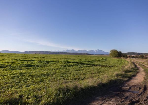 Investičný pozemok (2700 m2) Hrabušice