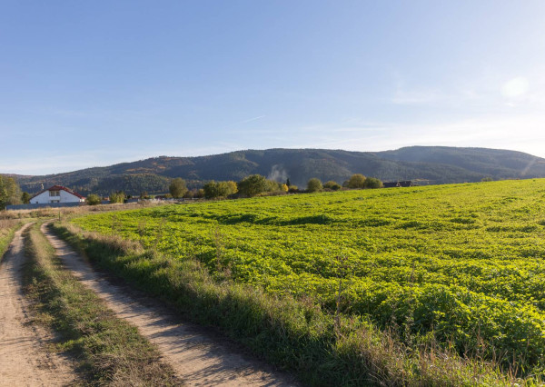 Investičný pozemok (2700 m2) Hrabušice