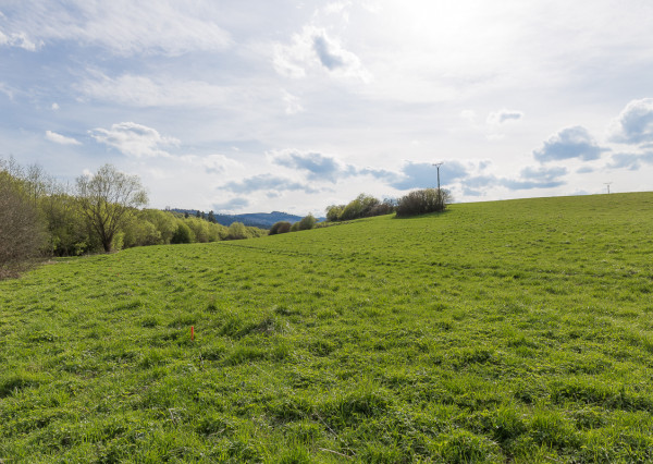 Nové záhradky (300 m2) ZO Hlinica Spišská Nová Ves