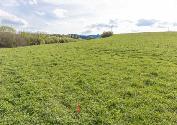 Nové záhradky (300 m2) ZO Hlinica Spišská Nová Ves