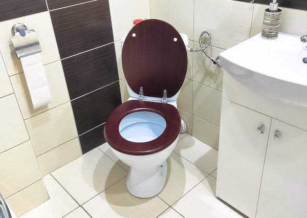 Byt 2+1 (62 m2) s loggiou, ul. Hviezdoslavova Sp. Nová Ves