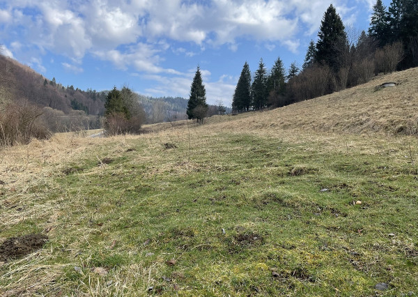 Pozemok (2538m2), Nálepkovo, okr. Gelnica