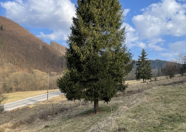 Pozemok (2538m2), Nálepkovo, okr. Gelnica
