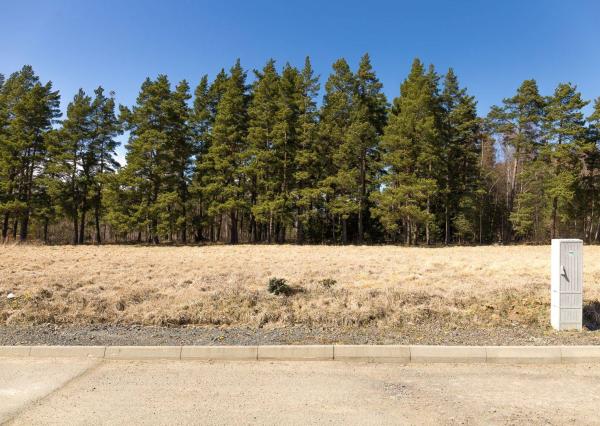 Pozemok pri lese (1441 m2), Veľká Lomnica