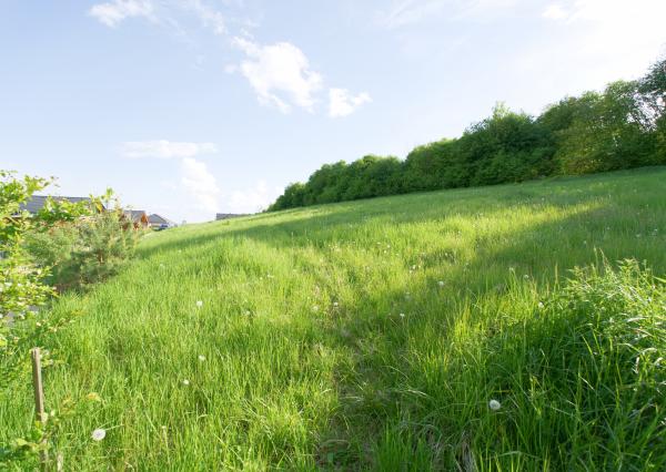 Stavebný pozemok (1008 m2) Spišský Hrhov