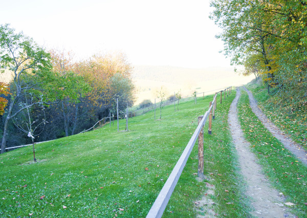 Chalupa s výhľadom na Levočské vrchy