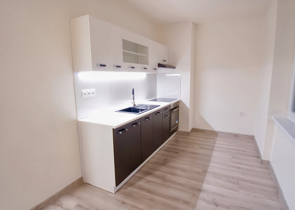 Kompletne rekonštruovaný byt 2+1 v centre mesta SNV