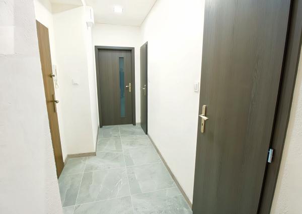 Kompletne rekonštruovaný byt 2+1 v centre mesta SNV