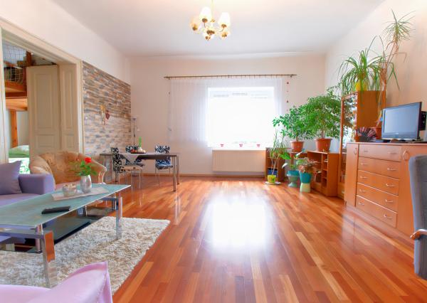 ZNÍŽENÁ CENA ! Tehlový byt 3+1 s garážou (125 m2) Sp. Nová Ves