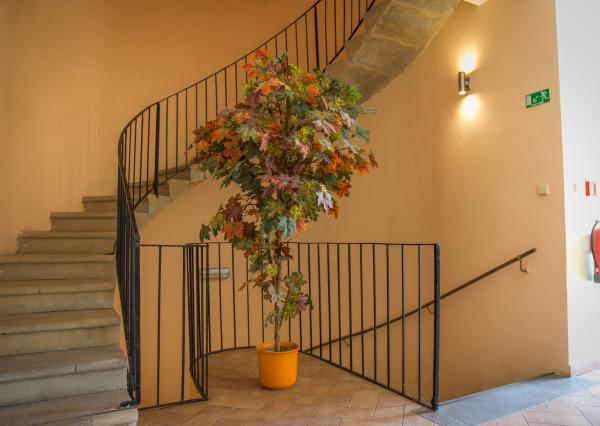 Polyfunkčný meštiansky dom, centrum Levoča