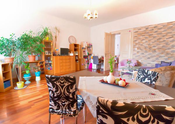 Tehlový byt 3+1 s garážou (125 m2) Sp. Nová Ves