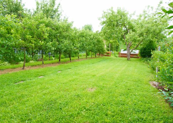 Rodinný dom Kozí vrch SNV