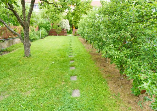 Rodinný dom Kozí vrch SNV