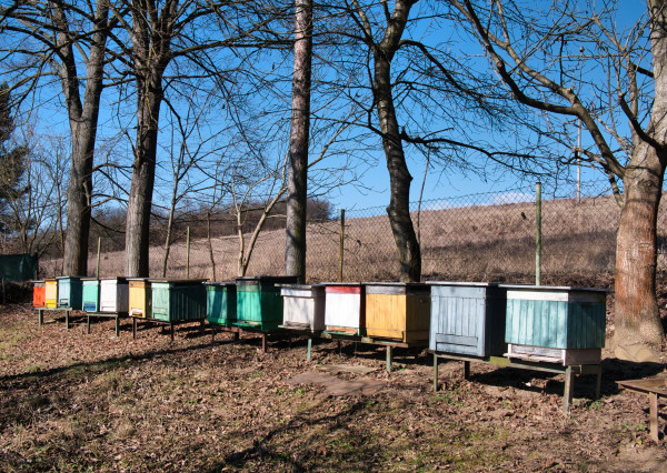 Rodinný dom s veľkým pozemkom v Spišských Vlachoch