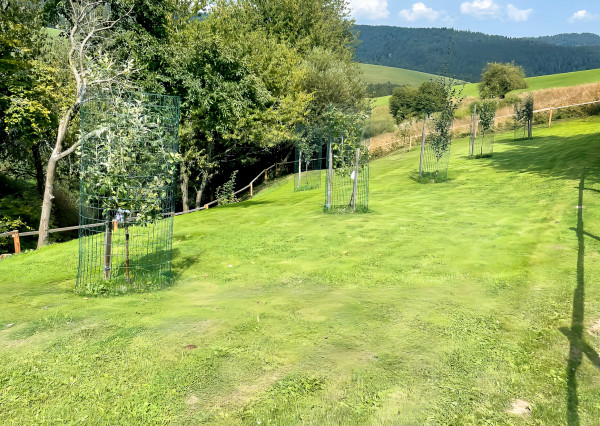 Chalupa s výhľadom na Levočské vrchy