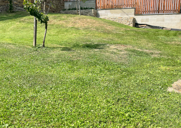 Chalupa s výhľadom na Levočské vrchy