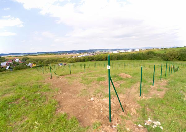 Nové záhradky (300 m2) ZO Hlinica Spišská Nová Ves