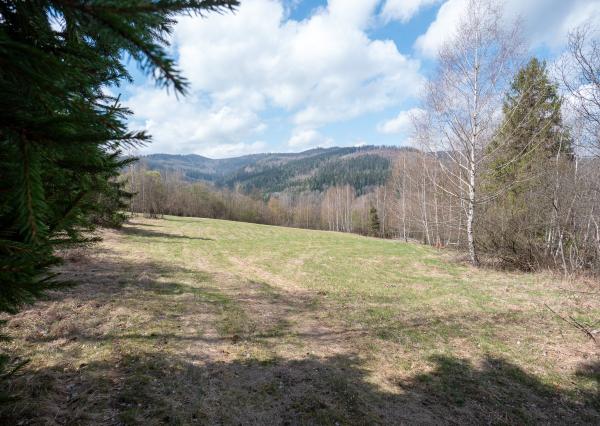 Pozemok v obci Stará Voda (GL) - 4870m2 - extravilán obce