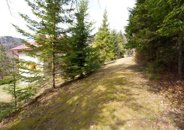 Chata v krásnom prostredí Poľany pri Slovenskom raji