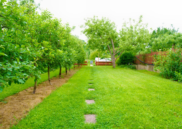REZERVOVANÝ! Rodinný dom Kozí vrch SNV