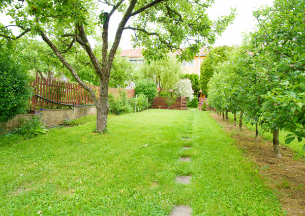 REZERVOVANÝ! Rodinný dom Kozí vrch SNV