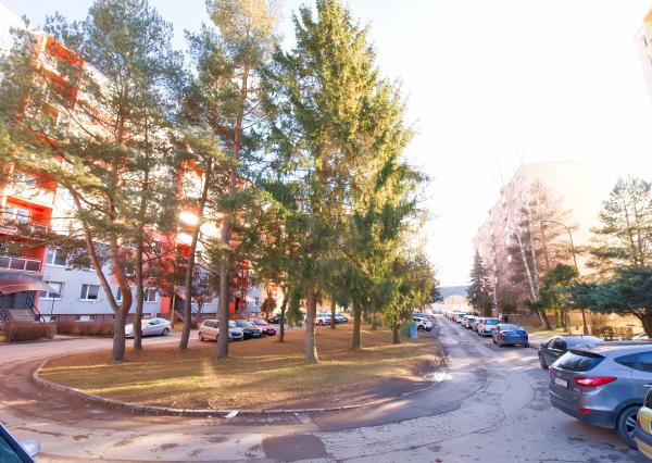 Byt 3+1 (71 m2) s loggiou, ul. Dubová Sp. Nová Ves