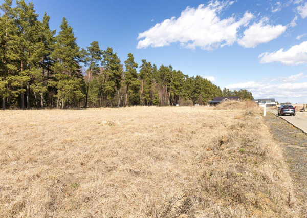 Pozemok pri lese (1441 m2), Veľká Lomnica