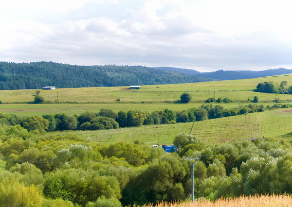 Nové záhradky (300 m2) ZO Hlinica Spišská Nová Ves