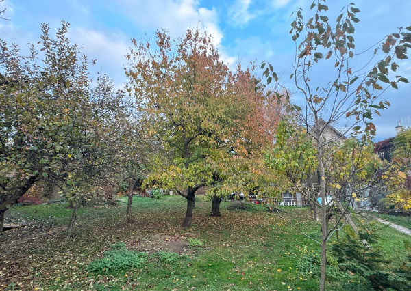 Meštiansky dom s veľkým pozemkom (1 546 m2) v centre Levoče