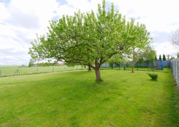 Záhrada (750 m2) Spišské Tomášovce Slovenský raj