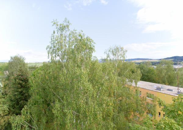 Byt 3+1 (72 m2) s loggiou, ul. Javorová sídl. Tarča SNV