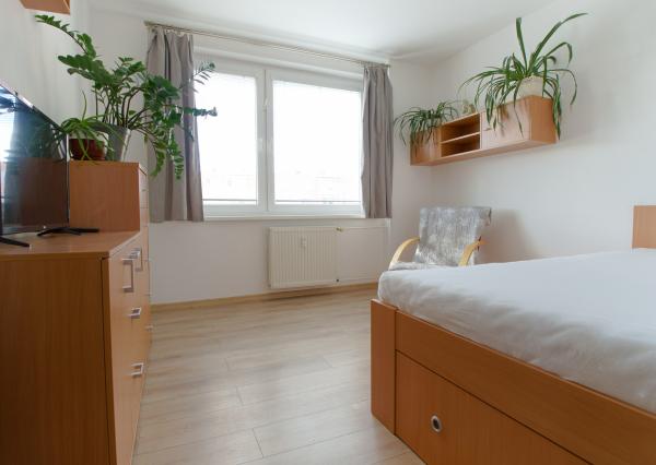 Byt 3+1 (72 m2) s loggiou, ul. Javorová sídl. Tarča SNV